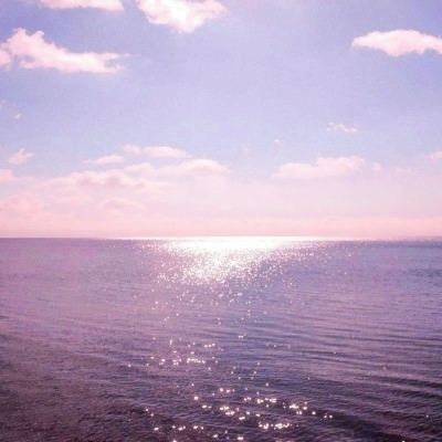 双彩网手机app下载截图